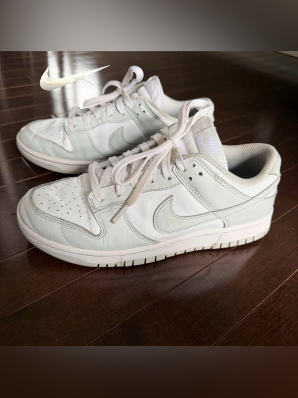 Women’s Low dunks 8.5